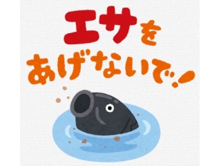 個別指導の強みとは？